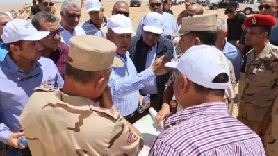 بدء إجراءات إقامة مشروعات لتوليد الكهرباء من طاقة الرياح في سيناء والسويس