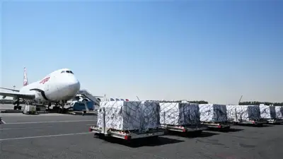 مطار العريش يستقبل طائرة مساعدات إماراتية بـ100 طن لدخول غزة