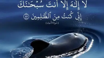 أسرع 12 دعاء من القرآن والسنة لزوال الهموم وتفريج الكروب