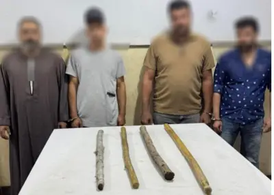 مشاجرة بالأسلحة البيضاء بين ولاد العم في البحيرة بسبب ملكية الأرض