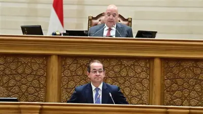 وزير المالية يعلن تعديلات وشيكة على قانون الضرائب لتقديم حوافز للممولين