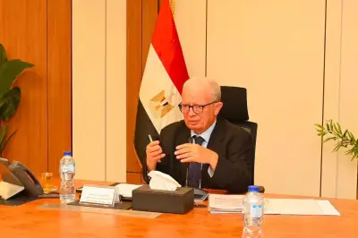 انعقاد جمعيات 5 شركات لتوزيع حصة بقيمة 1.061 مليار جنيه دعمًا للخزانة