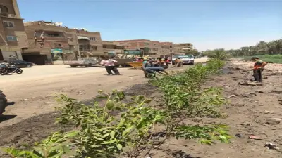 الجيزة تطلق مبادرة «ازرع شجرة» بأبو النمرس لتعزيز المشاركة المجتمعية