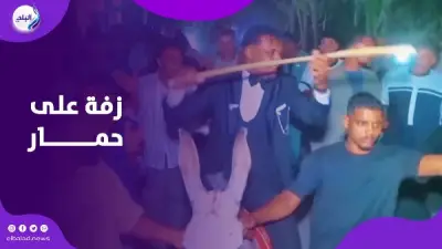 عريس في قنا يثير الجدل بزفاف على ظهر حمار بأغانٍ شعبية