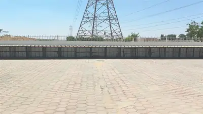 الإسكان تطلق خطة شاملة للسيطرة على الكلاب الضالة بالمدن الجديدة