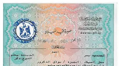 طرق استخراج شهادة ميلاد مميكنة في دقائق عبر المنصات الرقمية والماكينات الذكية