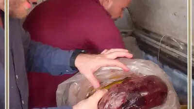 حملات تموينية مكثفة في بني سويف لضبط الأسواق ومكافحة المخالفات