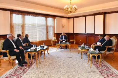 وزير الدولة للإنتاج الحربي: منفتحون على التعاون مع الشركات العالمية والمحلية