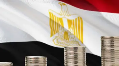 برلماني: توجيه الاستثمارات نحو المجالات ذات الأولوية يعزز الاقتصاد الوطني