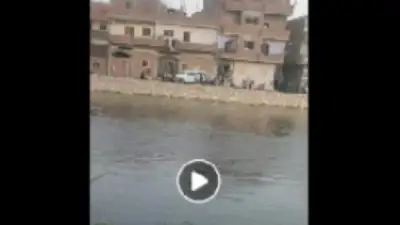 خلافات الجيرة تؤدي لمشاجرة بالأسلحة البيضاء في الشرقية