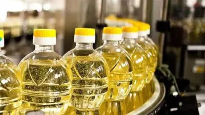 انخفاض أسعار الزيت اليوم الأحد 14 يونيو 2026 في الأسواق المصرية