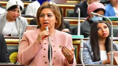 برلمانية تطالب الحكومة بخطة عاجلة لمواجهة أزمة الصحة النفسية بمصر