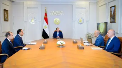 الرئيس السيسي يؤكد على المتابعة الدورية لمشروعات الطاقات المتجددة