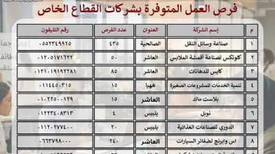 الشرقية توفر 1396 فرصة عمل للشباب بالقطاع الخاص في 4 مدن