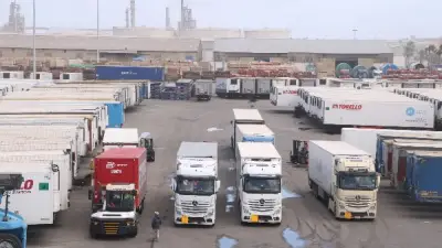 حركة تداول السفن بميناء دمياط: استقبال 10 سفن ومغادرة 10 خلال 24 ساعة