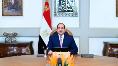 السيسي يوجه بتوطين الصناعات المرتبطة بالطاقة المتجددة لتعزيز الأمن الأخضر