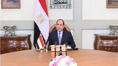 السيسي يتابع مشروعات الطاقة الشمسية ومحطات التخزين لرفع مساهمة المتجددة إلى 45%