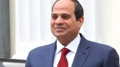 السيسي يستقبل نبيل فهمي ويؤكد دعم مصر الكامل لترشيحه أمينًا عامًا للجامعة العربية