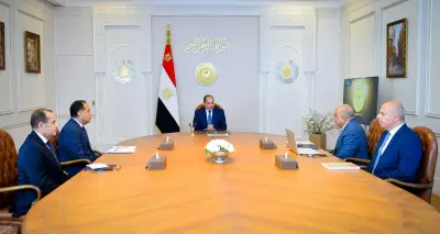 السيسي يؤكد ضرورة تحسين جودة التغذية الكهربائية ورفع كفاءة استخدام الوقود التقليدي