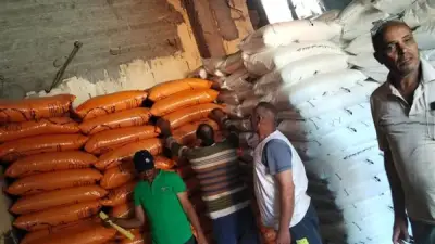 صرف الأسمدة الصيفية في 10 جمعيات زراعية بشربين بالدقهلية بانضباط تام