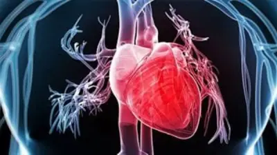 أعراض وأسباب ارتجاع الصمام الميترالي وطرق العلاج الحديثة
