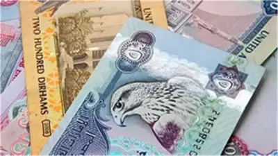 سعر الدرهم الإماراتي مقابل الجنيه المصري اليوم الأحد 14 يونيو 2026