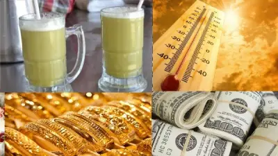 توقعات صيف 2026 وارتفاع الحرارة وتحذيرات من القصب المغشوش وأسعار الذهب والدولار