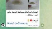 تسريب أسئلة دراسات إعدادية الجيزة على تليجرام بعد 10 دقائق من بدء الامتحان