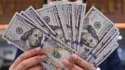 سعر الدولار في البنك الأهلي المصري اليوم الجمعة 12-6-2026 مستقرًا