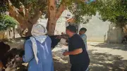 تحصين 127 ألف رأس ماشية ضد الحمى القلاعية والوادي المتصدع بالمنيا