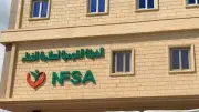 180 ألف طن صادرات غذائية وفحص 1037 منشأة في أسبوع