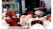 استقرار أسعار الدواجن في أسوان اليوم الثلاثاء 2-6-2026