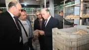 محافظ الغربية يتابع نتائج الحملات التموينية ببسيون وطنطا ويسفر عن تحرير 20 محضرًا
