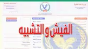 استخراج فيش وتشبيه في نفس اليوم: الأماكن والأسعار 2026