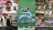 مونديال الزلازل والأفاعي.. شكاوي المنتخبات تهدد كأس العالم 2026