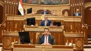رئيس برلمانية حماة الوطن بالشيوخ يوافق على خطة التنمية 2026/2027