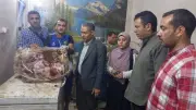 تحرير 2330 محضرًا تموينيًا في أسيوط خلال مايو الماضي