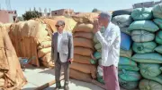محافظ أسيوط: توريد 237 ألف طن قمح منذ بدء الموسم