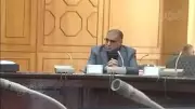 نفوق 27 كلبا بسم الفئران في الإسماعيلية يثير تحقيقا عاجلا