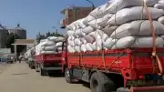 بني سويف تستلم 275 ألف طن قمح محلي منذ بدء موسم الحصاد والتوريد