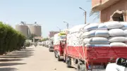 توريد 342 ألف طن قمح في بني سويف واستمرار استقبال المحصول بالصوامع والشون