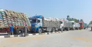 الزراعة تعلن توريد أكثر من 4.3 مليون طن قمح حتى الآن