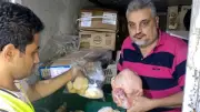 ضبط 4.5 أطنان لحوم ودهون مجهولة المصدر في حملة بيطرية بالمنصورة