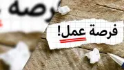 الحكومة توفر 4504 فرصة عمل برواتب تصل إلى 15 ألف جنيه