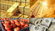 اشترِ الذهب قبل الارتفاع.. أسعار الذهب والدولار والطماطم اليوم الجمعة 5 يونيو 2026