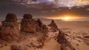 مصرع 50 نيجرياً عطشاً في الصحراء الكبرى قرب الحدود الجزائرية