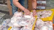 ضبط 500 كجم دواجن مجهولة المصدر في بورسعيد قبل طرحها بالأسواق