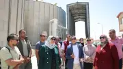 محافظ الوادي الجديد: توريد 553 ألف طن قمح حتى الآن