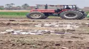 محافظ سوهاج يعلن استرداد 6 قطع أراض من أملاك الدولة في حملة مكبرة