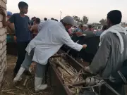 الزراعة: 6.8 مليون جرعة تحصينية ضد الحمى القلاعية والوادي المتصدع